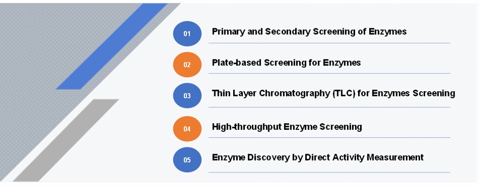 自然由来の酵素スクリーニング - Creative Enzymes