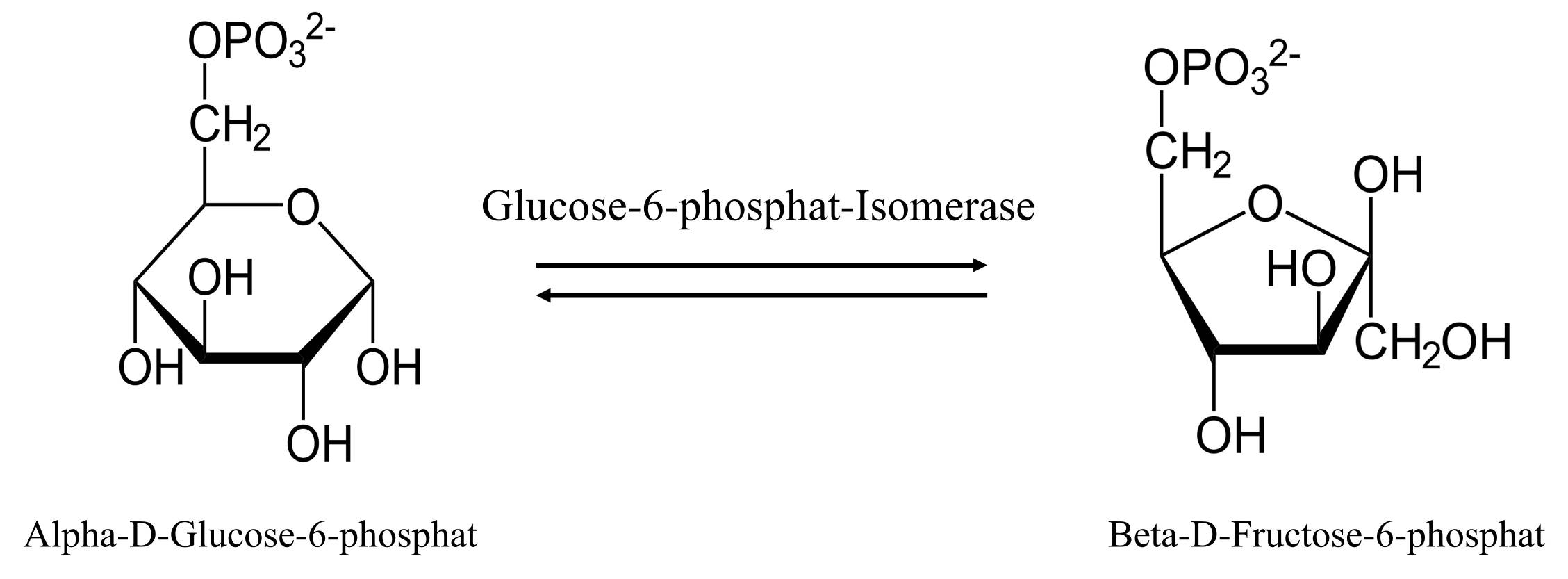 グルコース-6-リン酸アイソメラーゼによって触媒される反応。