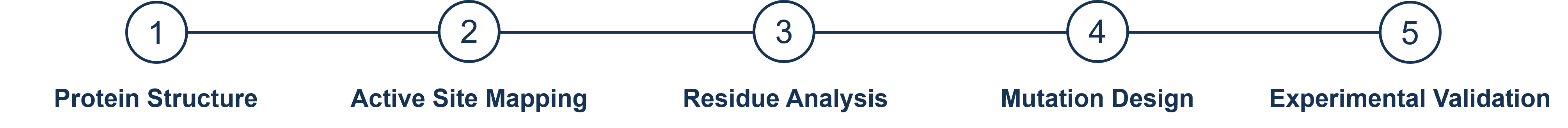 Structure-Guided Engineering Workflow
