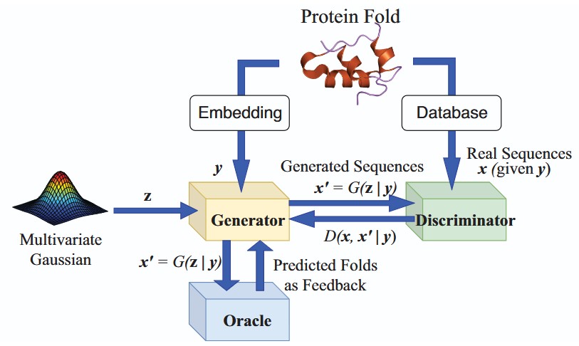 De novo protein design for novel folds using guided conditional wasserstein generative adversarial networks