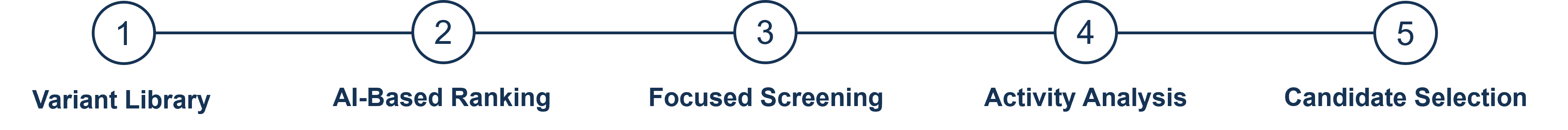 Screening Workflow