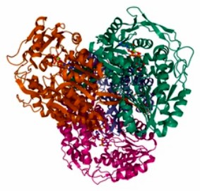 酸素を受容体とする供与体のアルデヒドまたはオキソ基に作用する酸化還元酵素の酵素活性測定
