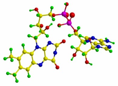 FADを受容体とするアルデヒドまたはオキソ基のドナーに作用する酸化還元酵素の酵素活性測定