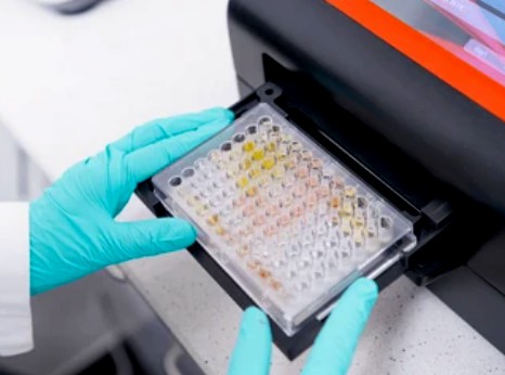 鉄-硫黄フラボプロテインを受容体とするCH-NH2基を持つドナーに作用する酸化還元酵素の酵素活性測定