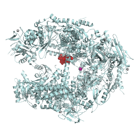Structure of Saccharomyces cerevisiae RNA polymerase II