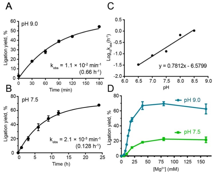 A threose nucleic acid enzyme with RNA ligase activity