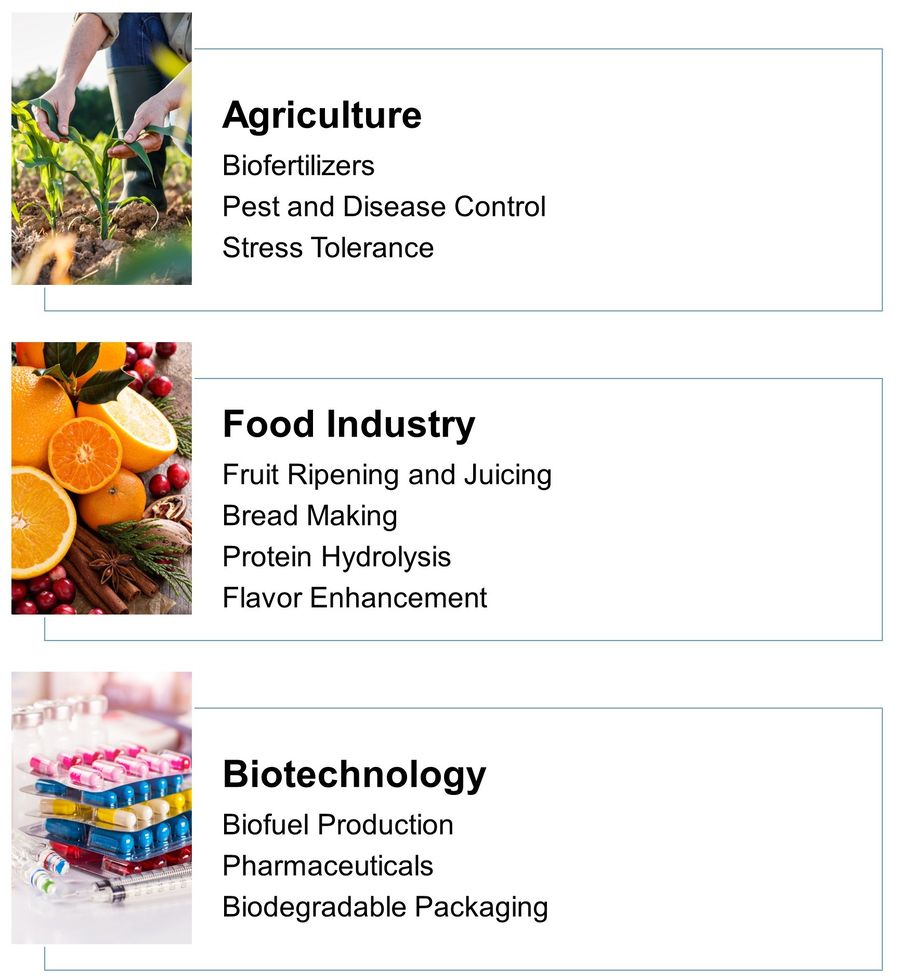 植物酵素の応用：農業、食品産業、バイオテクノロジー。