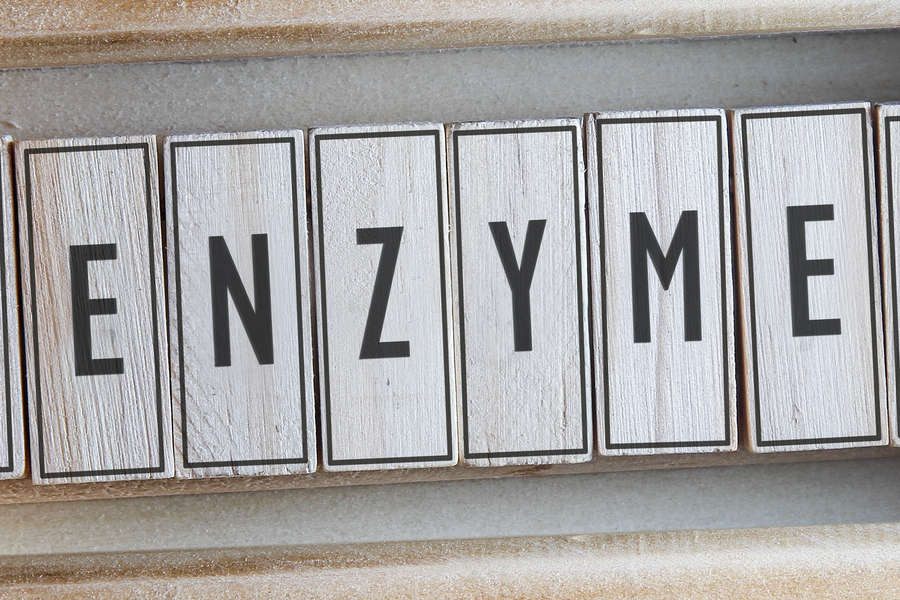Creative Enzymesはさまざまな酵素ブレンドを提供しています。