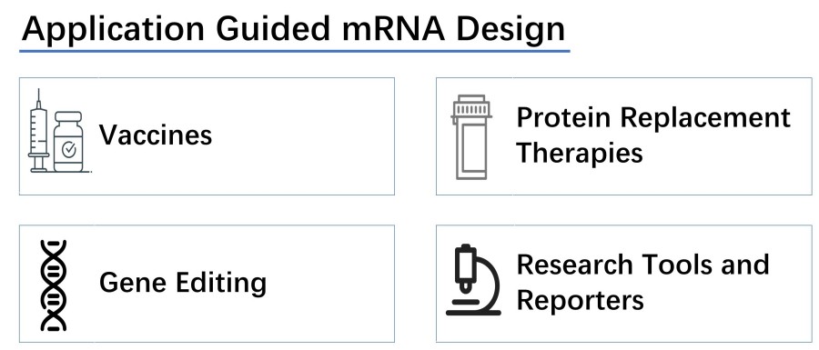 mRNAの製造はそのアプリケーションに応じて設計されています。