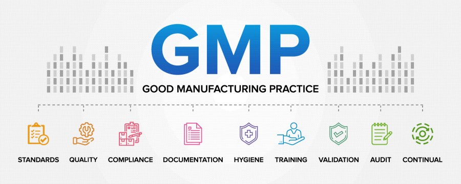 GMP includes standards, quality, compliance, documentation, hygiene, training, validation, auditing, and continuous improvement.