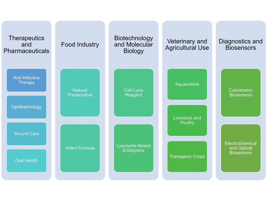 医療、食品、バイオテクノロジー、農業、診断におけるリゾチームの応用