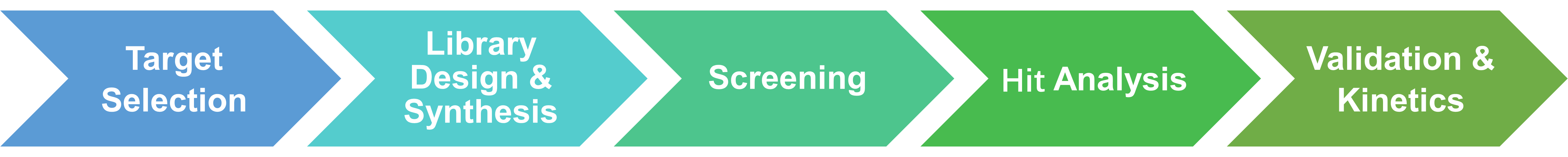 Workflow of phosphatase substrate library construction services