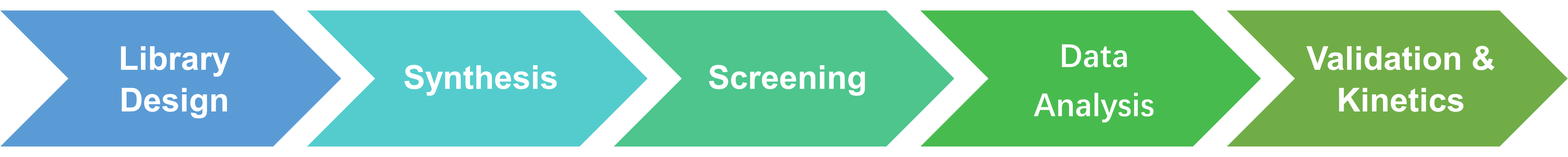 Workflow of protease substrate library construction services
