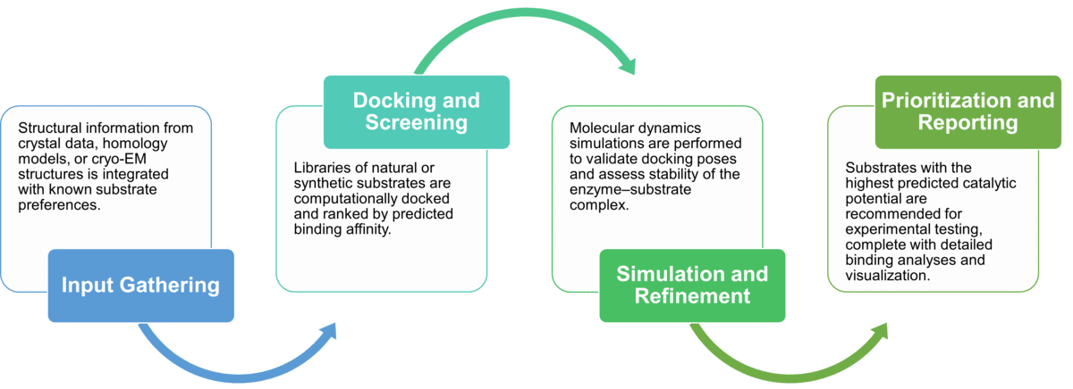 Workflow diagram of computational design and simulation services for enzyme substrates