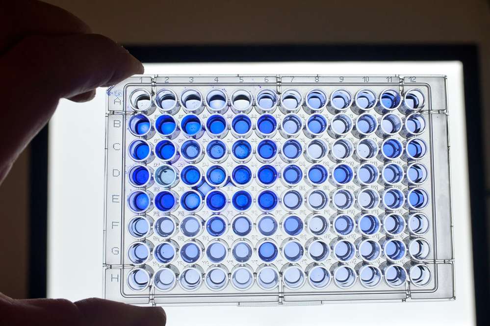 Initial screening of natural enzyme substrates