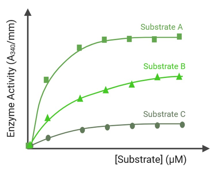 Enzyme activity toward natural substrates as a function of substrate concentration