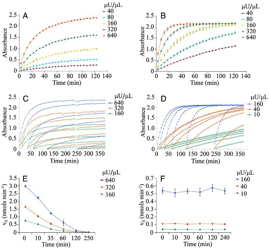 Development and validation of enzymatic assay for small molecule screening and profiling