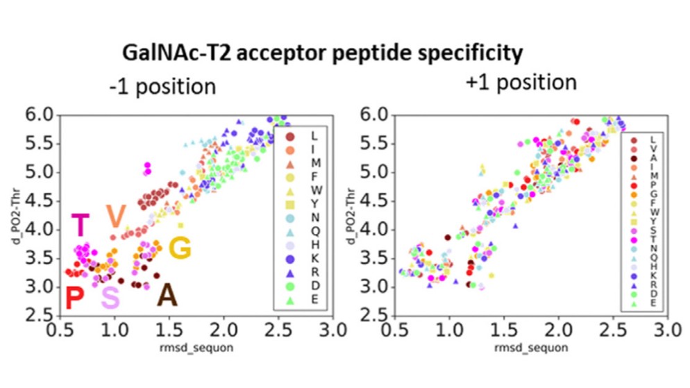 エンジニアリング酵素の計算モデリングとシミュレーション (Mendoza and Masgrau, 2021)