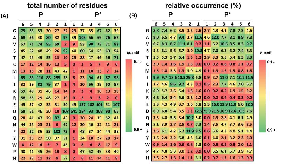 アスタシンメタロプロテアーゼにおけるOvastacin特異性の構造研究
