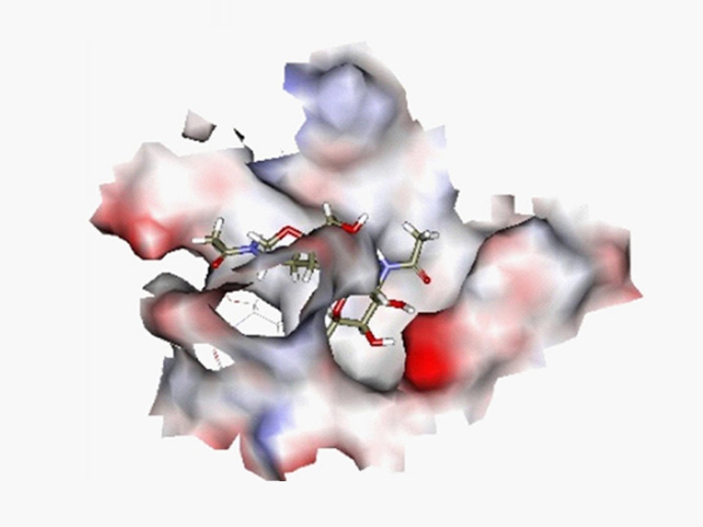 Rational design of scaffold A and compound library structure (Shawky et al., 2021)