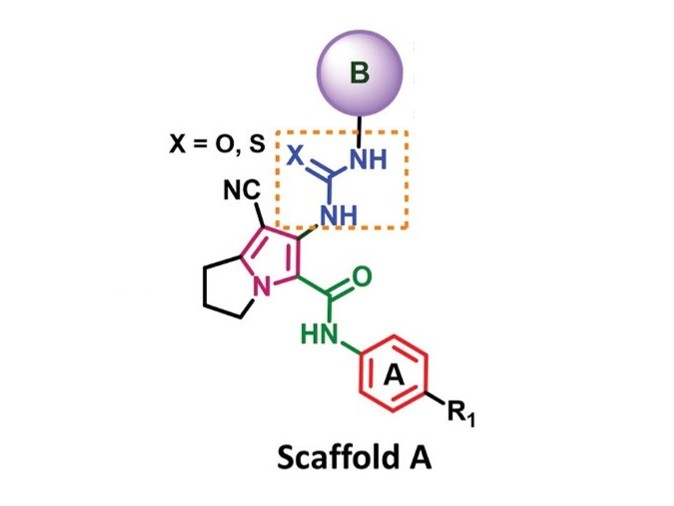 Docking and simulation of ACE inhibitors binding to hACE2 receptor (Al-Karmalawy et al., 2021)