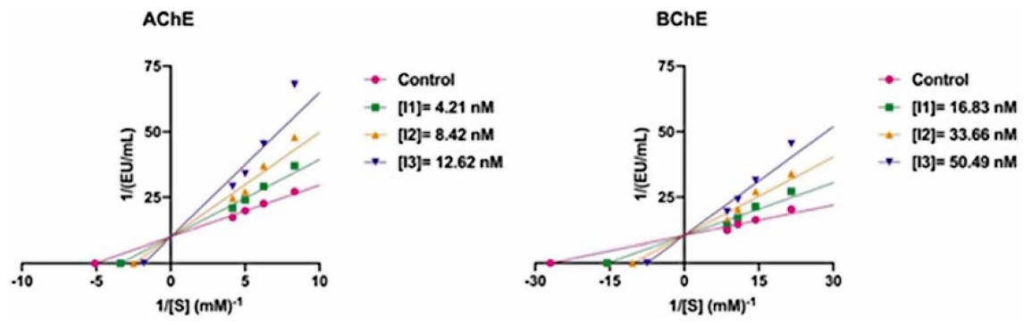 新規ベンゾオキサゾール誘導体によるAChEおよびBChE阻害のLineweaver–Burkプロット