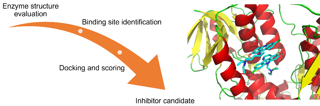 Diagram showing key stages and example of structure-based inhibitor design