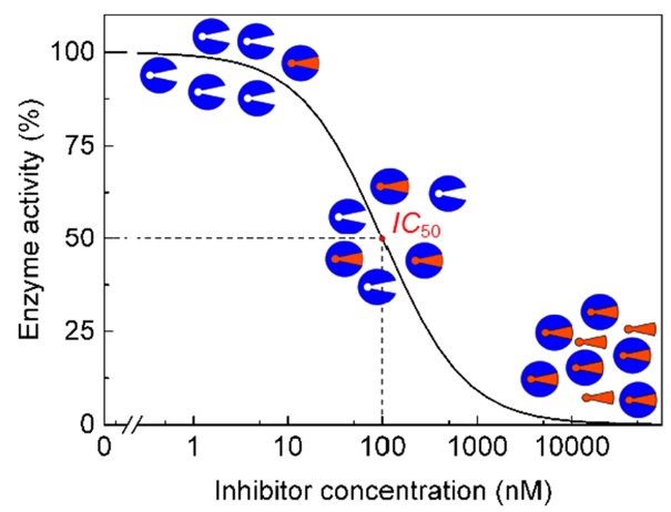 Representative IC50 dose–response curve