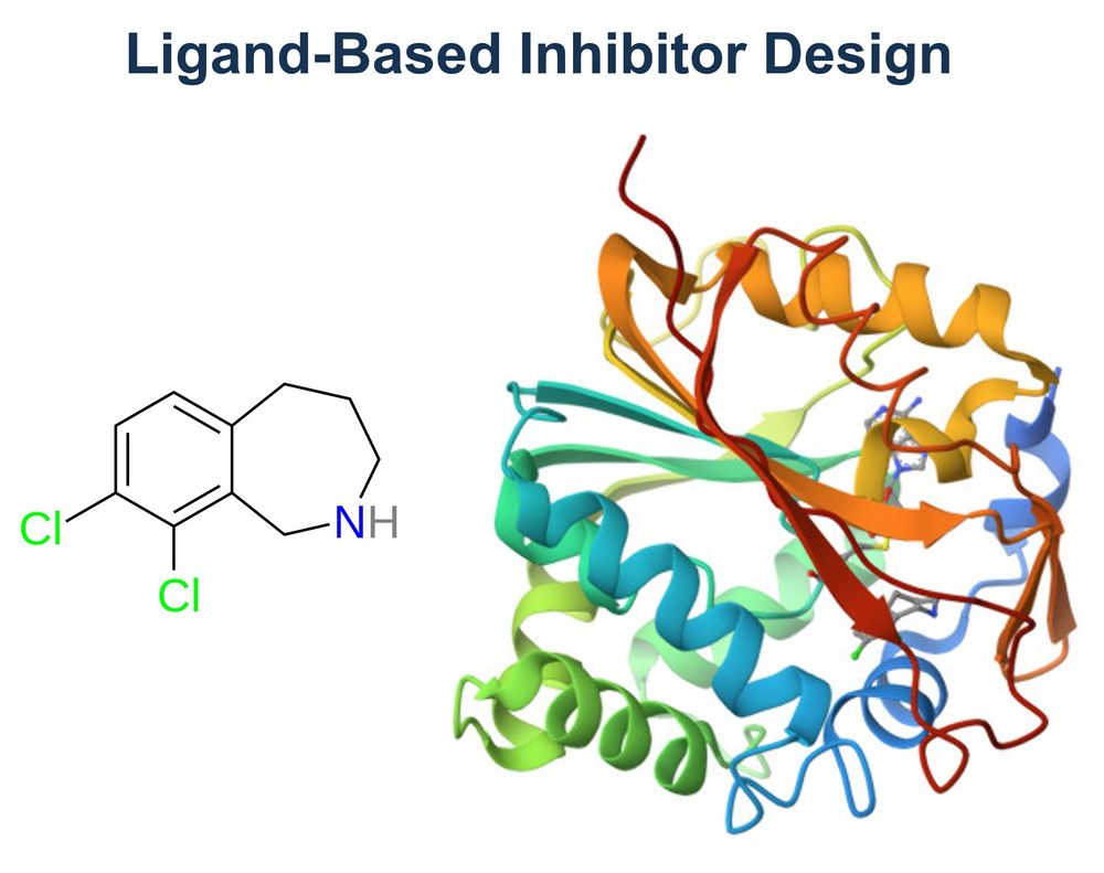 An example of ligand-based inhibitor design