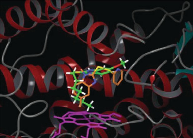 Active-site docking visualization of a selective inhibitor bound to the CYP2C19 homology model