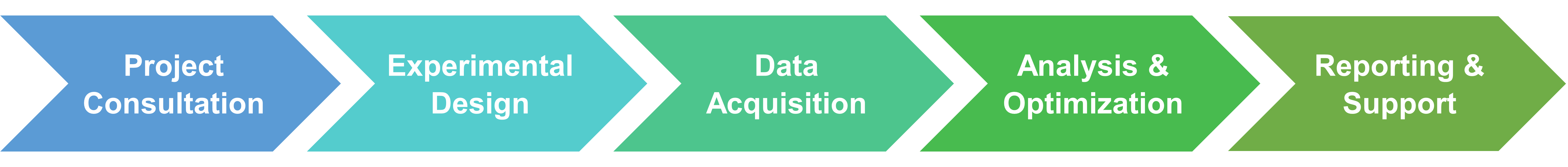 Creative Enzymesの阻害剤スクリーニングおよび設計サービスのワークフロー