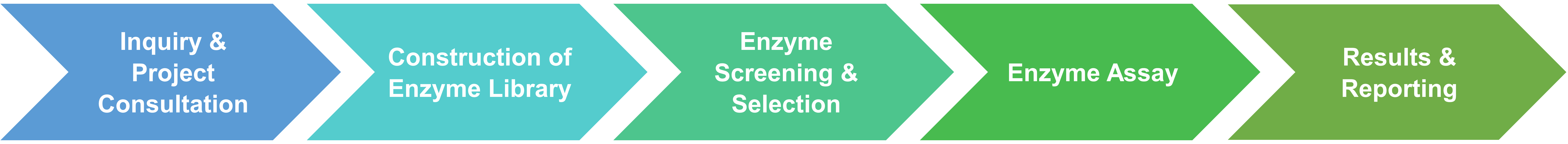 Service workflow of enzyme screening against substrates
