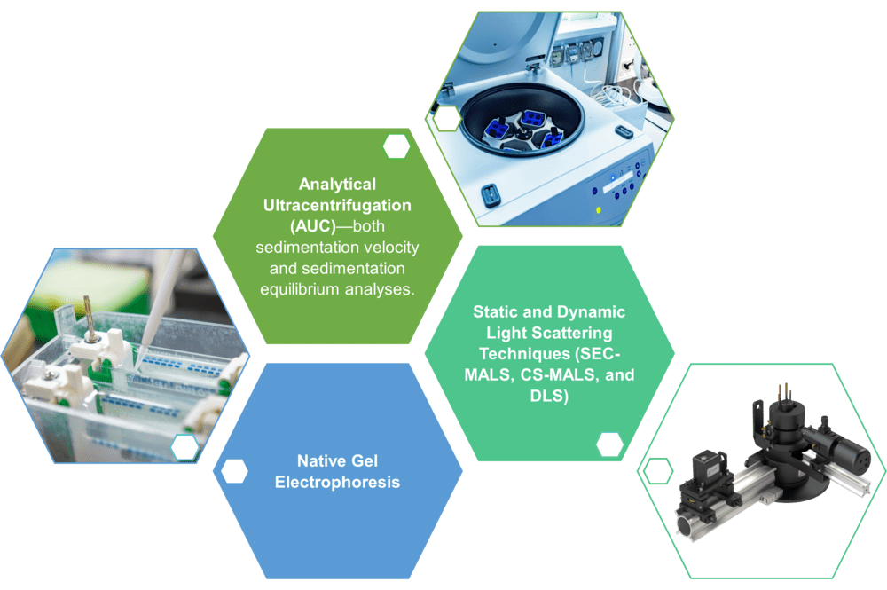 Workflow diagram illustrating the process of enzyme aggregation and oligomerization analysis services