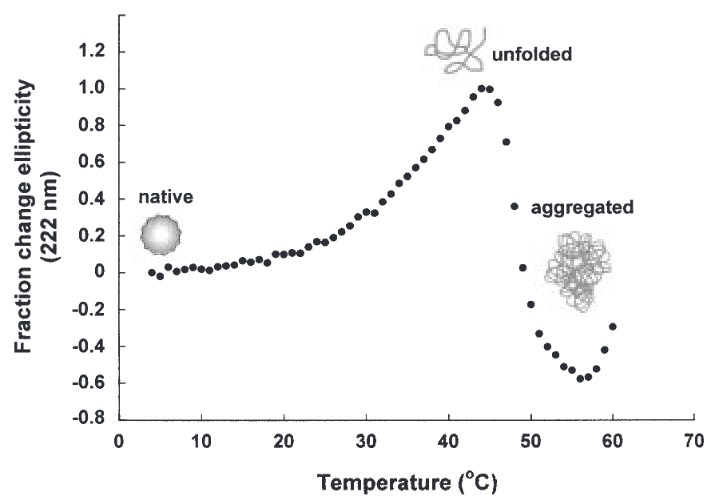 Experimental results showing in vivo enzyme aggregation restricting Escherichia coli growth under heat stress