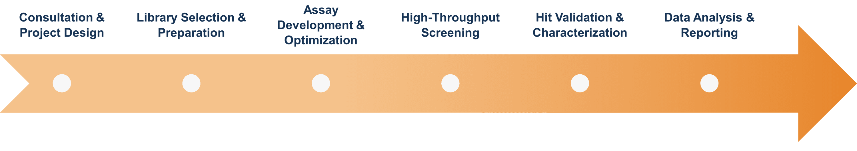 Workflow diagram of Creative Enzymes’ identification and screening process for enzyme-associated ligands