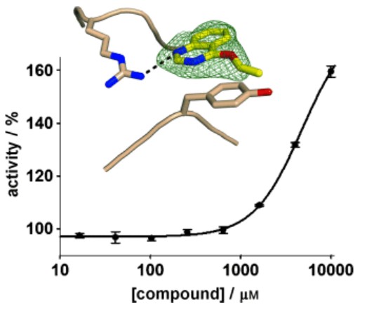 Visualization of glycoside hydrolase activity across varying compound concentrations with structural representation of the identified small-molecule activator