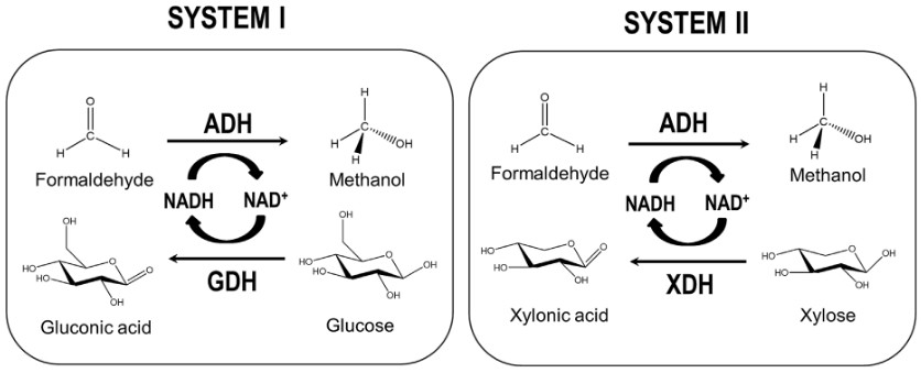 Enzymatic systems I and II for formaldehyde-to-methanol conversion using cofactor recycling pathways