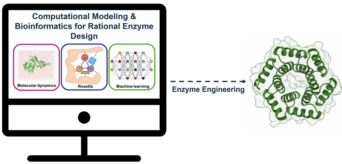 Computational modeling and bioinformatics services for rational enzyme design at Creative Enzymes