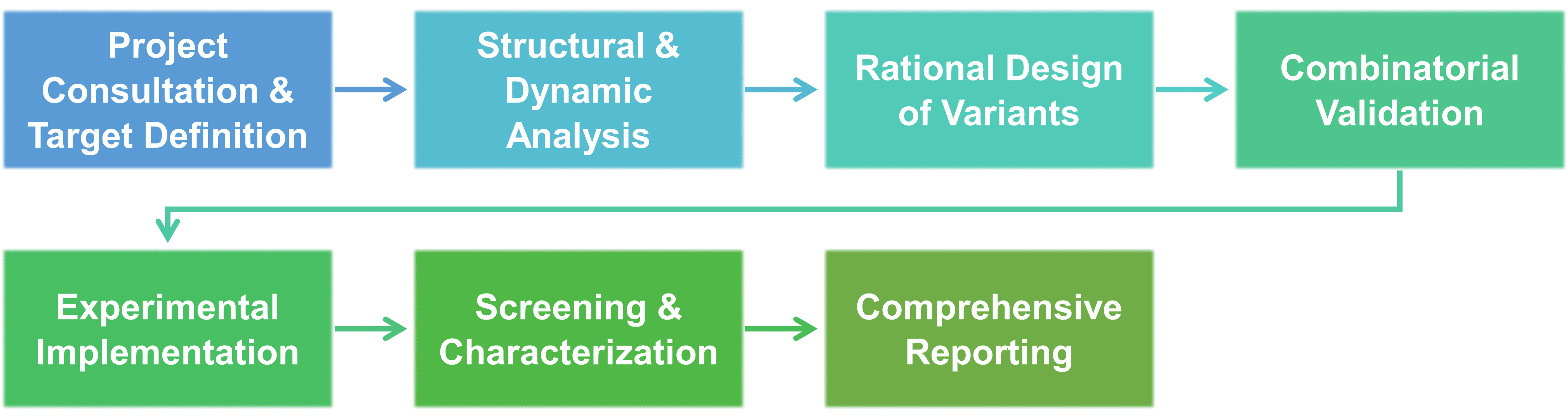 Service workflow of enzyme domain and loop engineering at Creative Enzymes