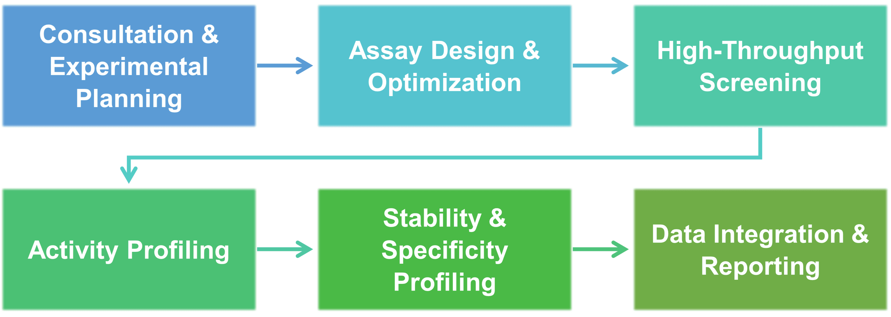 Workflow diagram for high-throughput screening and activity profiling of rationally designed enzymes