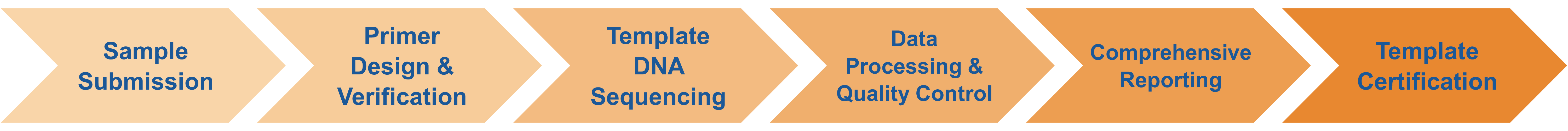 Service workflow of template DNA sequencing for site-directed mutagenesis