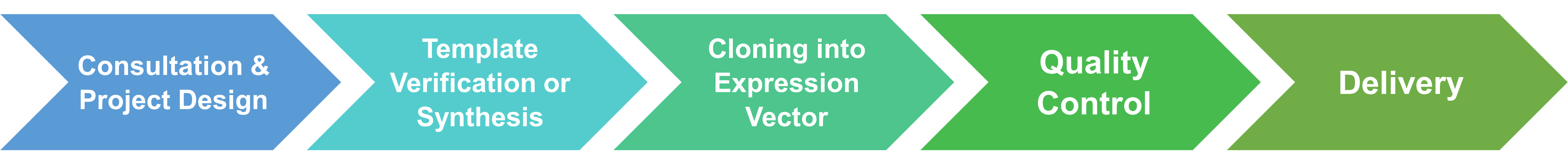 Workflow of upstream services for site-directed mutagenesis
