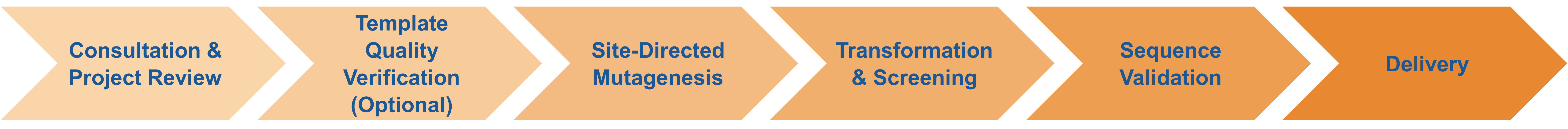 Service workflow for site-directed mutagenesis using customer-provided templates