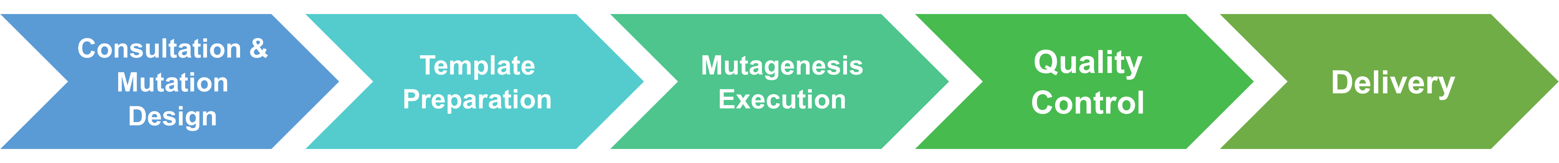 Workflow diagram of core site-directed mutagenesis