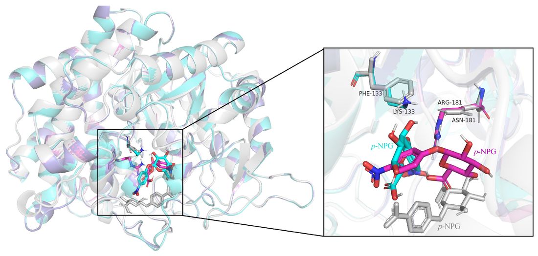 Comparison of substrate-binding site superposition in wild-type and mutant Oenococcus oeni β-glucosidase