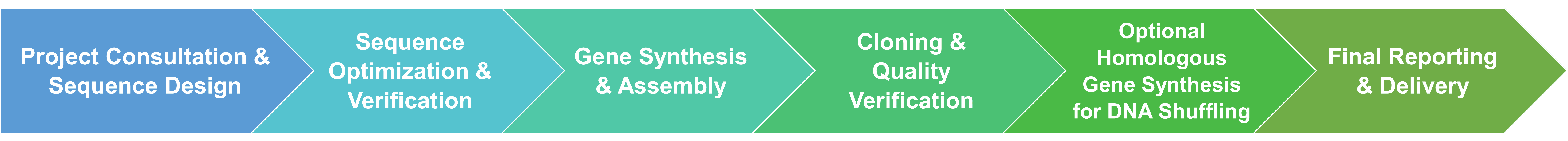 Workflow of template gene synthesis service for random mutagenesis and DNA shuffling