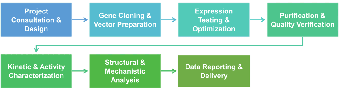 Workflow of downstream services for random mutagenesis and DNA shuffling
