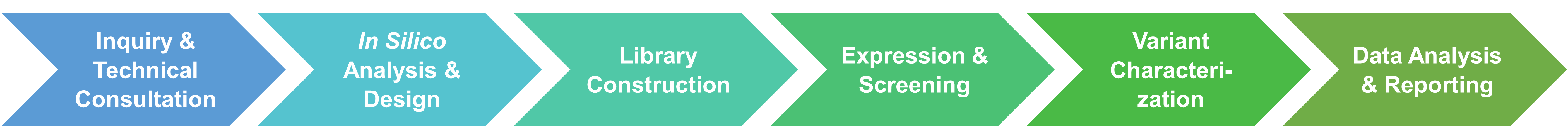 Creative Enzymes' enzyme engineering service workflow illustration