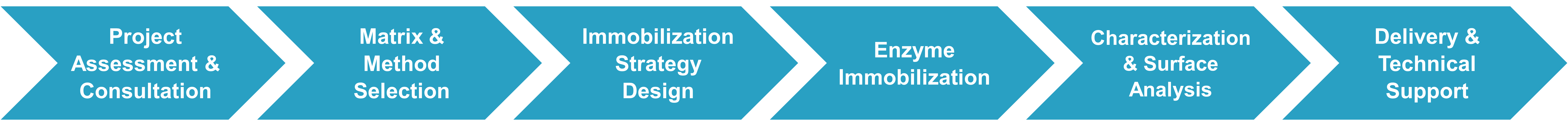 Service Workflow for enzyme immobilization