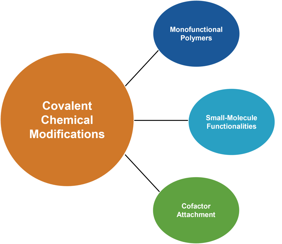 Available covalent chemical modifications: Monofunctional polymers, small-molecule functionalities, and cofactor attachment